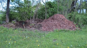 the new improved compost pile