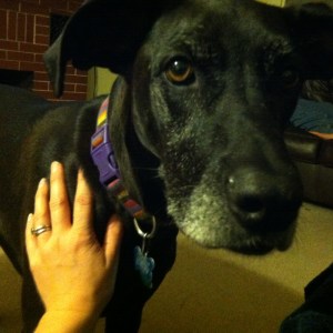 Sammy is not impressed with her sister.