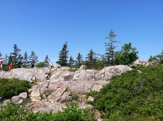 See the kids? Way up there? 